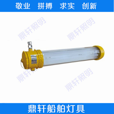船用防爆LED照明燈具DLEL220-2*10W鋁合金 安全與效能的雙重保障